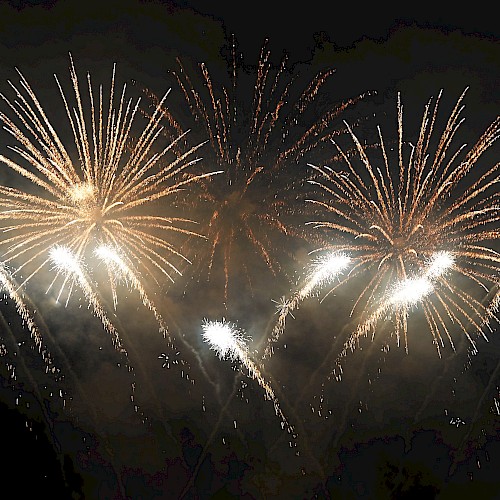 The image shows a vibrant fireworks display against a dark sky, featuring golden bursts and bright white trails creating a celebratory scene.